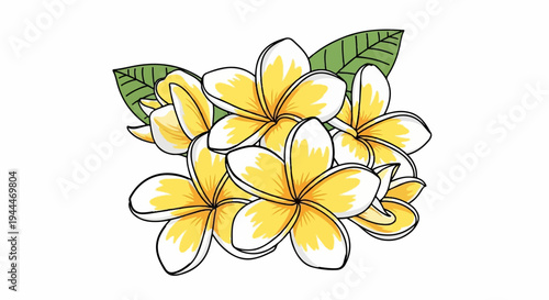 A cluster of yellow and white plumeria flowers with green leaves