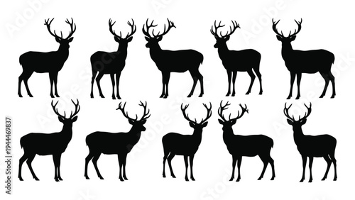 Detailed analysis of deer silhouettes in various poses and angles