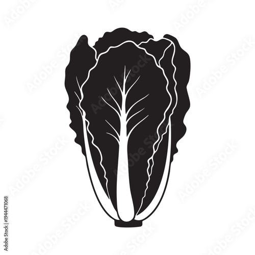 Black silhouette of a chinese cabbage head isolated on white background, fresh vegetable graphic for healthy eating and food design elements