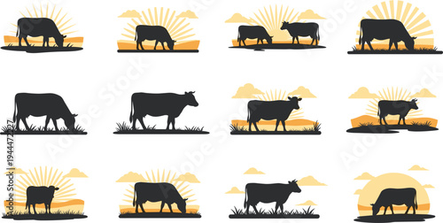 Collection of twelve cow silhouette illustrations with sunrise, clouds and grass elements for farm, rural and decorative vector design projects