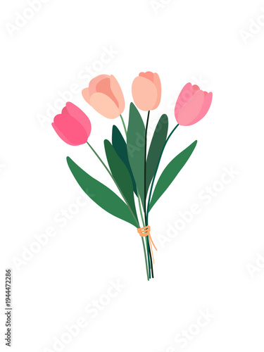 Tulip flower bouquet hand drawn illustration