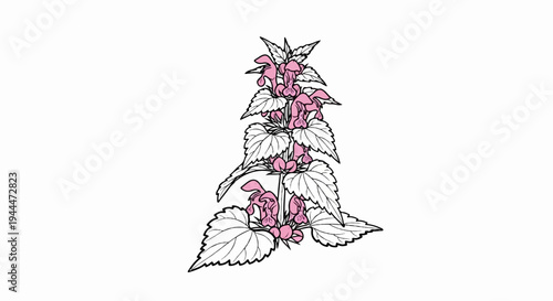 A pink blooming plant with detailed leaves and delicate petals