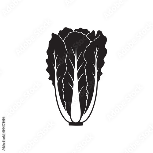 Black silhouette of chinese cabbage or napa cabbage head, tightly packed leaves with visible veins, on white background vector for asian cuisine or healthy vegetable concept