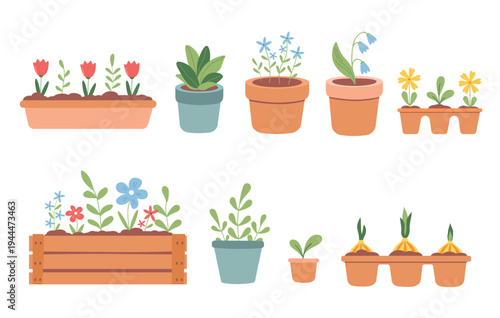 Potted flowers and garden plants set – cute flat houseplants, seedlings and flower pots vector collection.