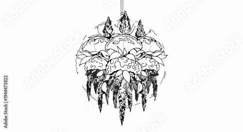 Ornate botanical drawing of hanging flowers suspended within a circular frame