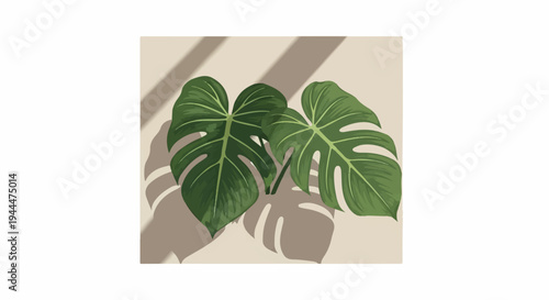 Lush green leaves cast shadows on a textured beige background