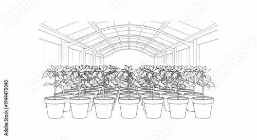Many potted plants lined up inside a greenhouse structure