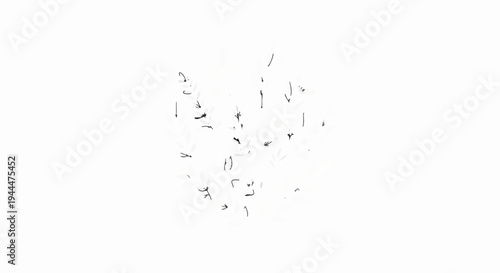 Loose, sketchy drawings of leaves, arrows, and dots on a white background