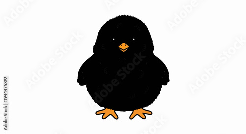 A fluffy black chick with an orange beak and feet stands facing forward