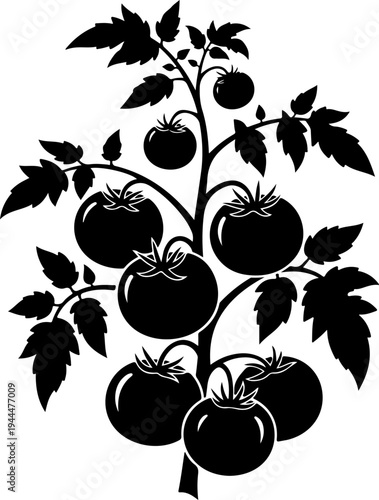 Tomato plant silhouette vector illustration