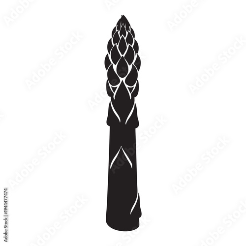 Sharp black silhouette of an asparagus spear showing its characteristic layered scales and tapered tip, signifying fresh spring vegetables and healthy cuisine