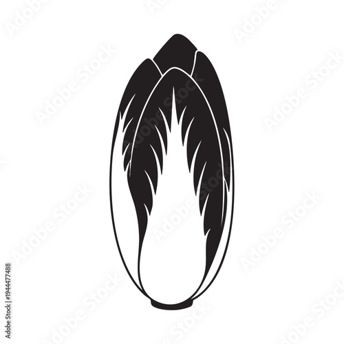 Chicory endive vegetable silhouette isolated on white background minimalist food illustration for grocery store signage healthy eating graphic element organic produce farm market vector icon design