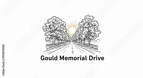 Lined road bordered by trees leading to a sunburst