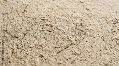 Organic Recycled Paper Texture with Copy Space