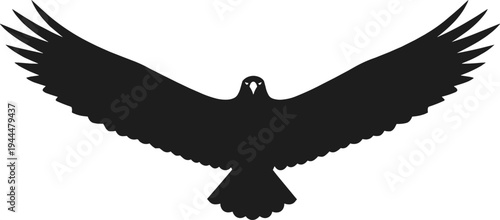 Bird in flight silhouette vector illustration design graphic, eagle hawk raptor wings spread nature art concept, black and white decorative collection