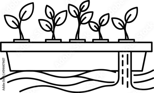 Hydroponic Garden Seedlings Growing in Water hydroponics plant