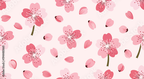 Modern vector illustration of Japanese cherry blossoms festival seamless pattern with sakura flowers and petals arranged in clean decorative spring style