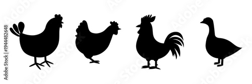 Farm poultry silhouettes set including chicken, hen, rooster and goose. Vector collection of domestic birds.