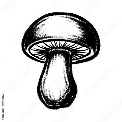 Hand-drawn black and white illustration of a mushroom with a textured brush stroke effect