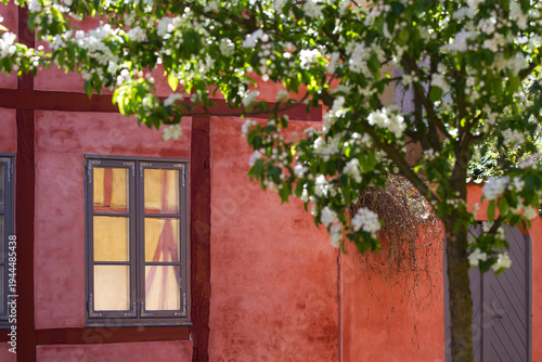 Window of houses in Helsingør in spring 2015