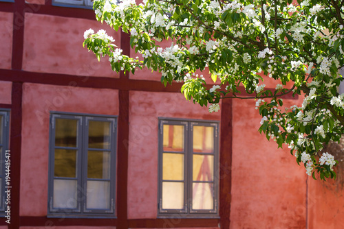Window of houses in Helsingør in spring 2015