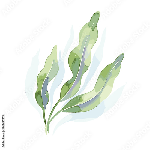 Watercolor illustration of green kelp fronds swaying gently in the ocean currents