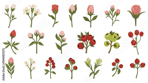 Large set of various botanical illustrations featuring different types of small flowers, buds, and colorful berries on green stems.
