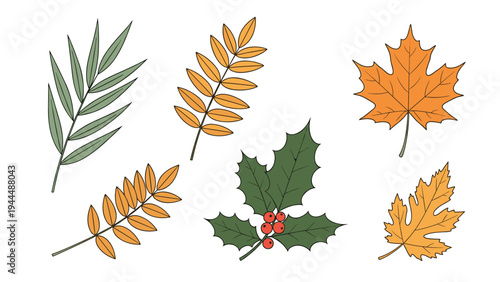 Assorted set of autumn leaves including maple and fern, plus a holly branch with red berries, in warm seasonal colors like orange and green.