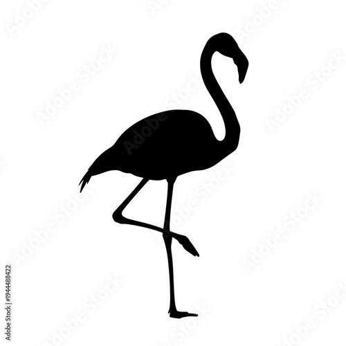 Elegant black silhouette of a flamingo standing on one leg against a white background