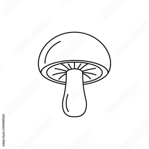 Simple line drawing of a mushroom with gills and a stem on a white background