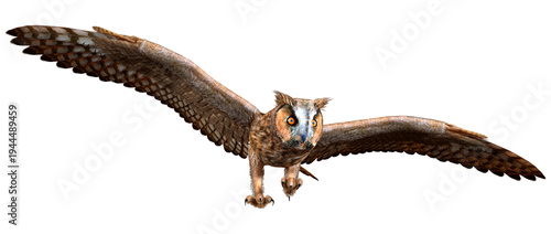 3D Rendering Eagle Owl on White