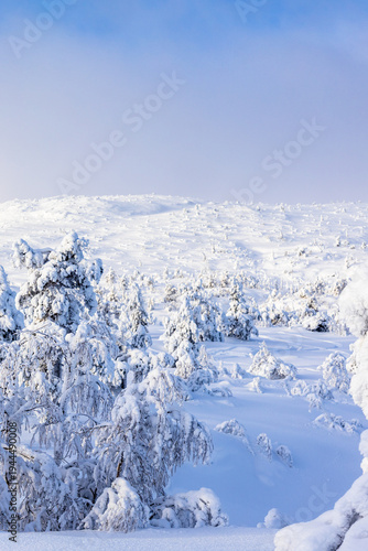 snowy hill slope near Kandalaksha town in winter