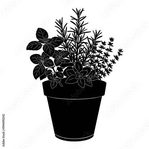 Silhouette of a potted herb garden with basil, rosemary, and thyme