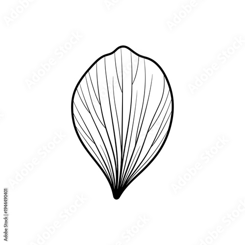Elegant black and white line art illustration of a single delicate flower petal