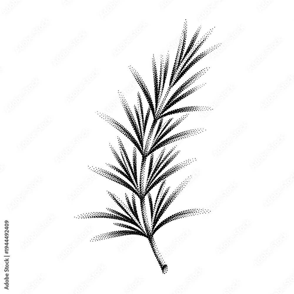 Fototapeta premium Minimalist stippled rosemary sprig illustration on a clean white background