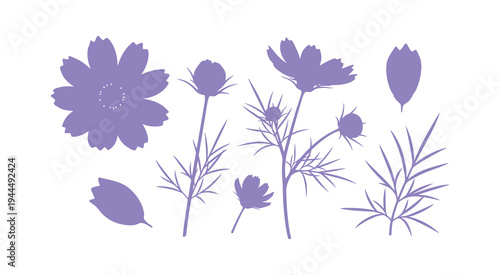 Summer garden Cosmos flowers with foliage isolated in vector design.