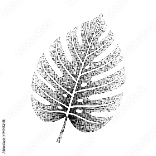 Monstera leaf illustration in stippling technique on a white background
