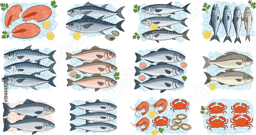 Fresh seafood market vector collection featuring salmon steaks whole fish crabs and shrimp on ice with lemon slices for grocery store culinary and healthy food illustration designs.