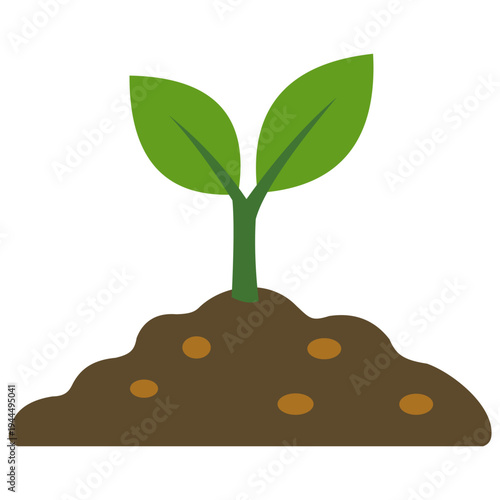 Plant sprout growing from soil – agriculture and gardening concept