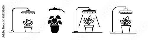 Illustration of potted plants under grow lights, showing the benefits of indoor plant illumination for growth
