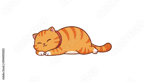 Cute Orange Tabby Cat Sleeping Peacefully on a White Background.