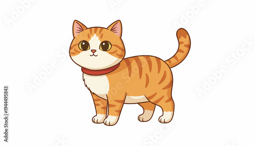 Cute orange tabby cat standing with a red collar.