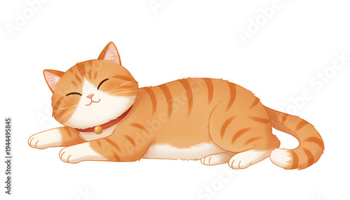 Cute orange tabby cat sleeping peacefully on a white background.