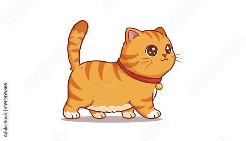 Cute Orange Tabby Cat Walking with Red Collar.