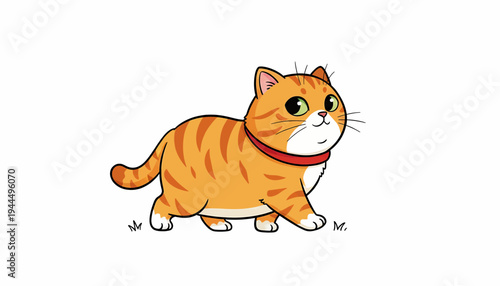 Cute orange tabby cat with red collar walking.