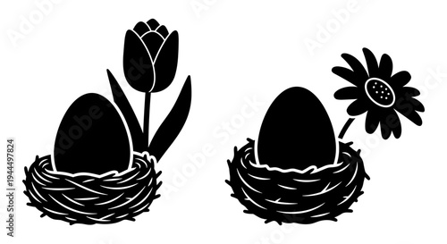 Transformation of an egg into a bird with flowers growing from its nest Vector, illustration