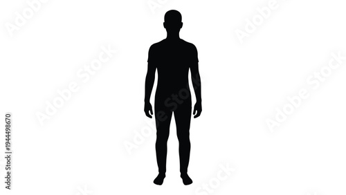 A detailed analysis of a human silhouette: understanding the contours and features of a standing male figure in a monochromatic representation