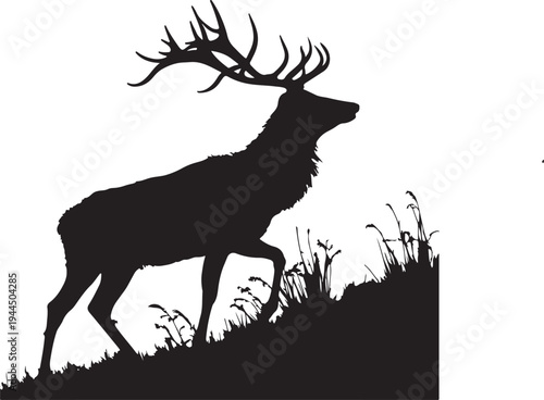 Majestic silhouette of a stag standing in a grassy field at dusk