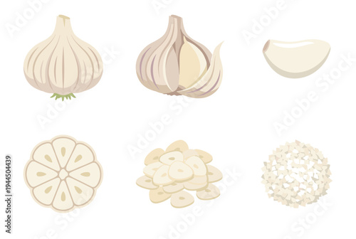 Garlic bulb and cloves collection in minimalist flat vector style including whole garlic half cut sliced and minced pieces for culinary and food themes