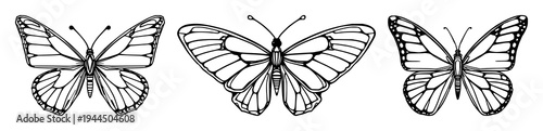 Butterfly set with symmetrical line art design featuring cybernetic, mechanical, wings with white background and modern tech-nature